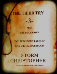Baixar The Third Try (English Edition) pdf, epub, eBook