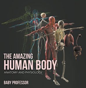 Baixar The Amazing Human Body | Anatomy and Physiology pdf, epub, eBook