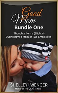 Baixar Good Mom Bundle One: Thoughts from a (Slightly) Overwhelmed Mom of Two Small Boys (English Edition) pdf, epub, eBook