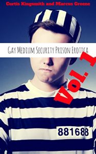 Baixar Gay Medium-Security Prison Erotica, Vol. 1: A Six-Pack of Gay Jail Erotica (Brutewood Medium Security Penitentiary Book 13) (English Edition) pdf, epub, eBook