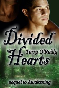 Baixar Divided Hearts (English Edition) pdf, epub, eBook