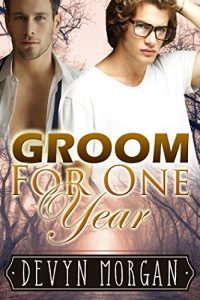 Baixar Groom For One Year (English Edition) pdf, epub, eBook