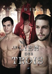 Baixar Le Lien des Trois (French Edition) pdf, epub, eBook