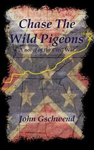 Baixar Chase The Wild Pigeons: A novel of the Civil War (English Edition) pdf, epub, eBook