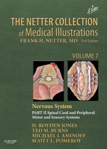 Baixar The Netter Collection of Medical Illustrations: Nervous System, Volume 7, Part II – Spinal Cord and Peripheral Motor and Sensory Systems E-Book (Netter Green Book Collection) pdf, epub, eBook