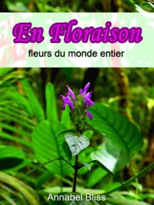 Baixar En floraison, les fleurs de partout dans le monde (French Edition) pdf, epub, eBook