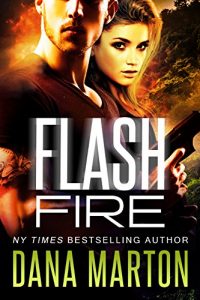 Baixar Flash Fire (English Edition) pdf, epub, eBook