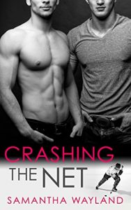 Baixar Crashing the Net (English Edition) pdf, epub, eBook