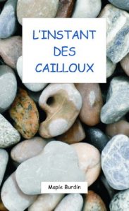Baixar L’Instant des Cailloux (Les Fables Folles de Feuillerie t. 1) (French Edition) pdf, epub, eBook