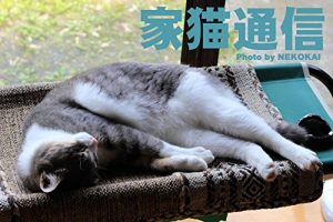 Baixar My home sweet cat (Japanese Edition) pdf, epub, eBook