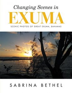 Baixar Changing Scenes in Exuma: Scenic Photos of Great Exuma, Bahamas (English Edition) pdf, epub, eBook