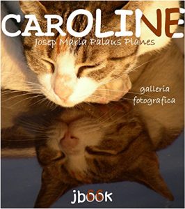 Baixar Caroline [it] (Italian Edition) pdf, epub, eBook