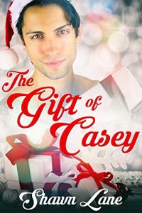 Baixar The Gift of Casey (English Edition) pdf, epub, eBook
