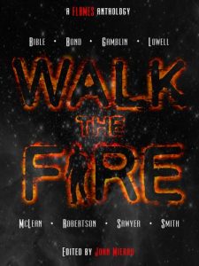 Baixar Walk The Fire (English Edition) pdf, epub, eBook