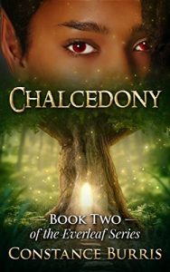 Baixar Chalcedony: Book Two of the Everleaf Series (English Edition) pdf, epub, eBook
