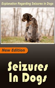 Baixar Seizures in Dogs: Explanation Regarding Seizures in Dogs (English Edition) pdf, epub, eBook