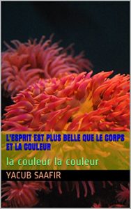 Baixar L’esprit est plus belle que le corps et la couleur: la couleur   la couleur (French Edition) pdf, epub, eBook