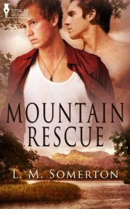 Baixar Mountain Rescue (English Edition) pdf, epub, eBook