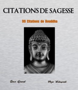 Baixar Citations de Sagesse – 99 citations de Bouddha (French Edition) pdf, epub, eBook