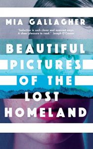Baixar Beautiful Pictures of the Lost Homeland pdf, epub, eBook