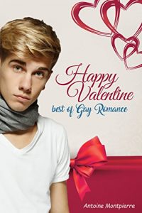 Baixar Happy Valentine – Best of Gay Romance! (German Edition) pdf, epub, eBook