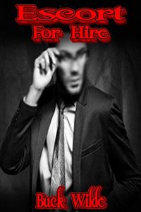 Baixar Escort For Hire: (Gay BDSM, Alpha Male, MMMM Group, Bondage, Punishment, Domination and Submission) (English Edition) pdf, epub, eBook