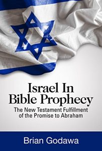 Baixar Israel in Bible Prophecy: The New Testament Fulfillment of the Promise to Abraham (English Edition) pdf, epub, eBook