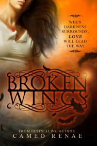 Baixar Broken Wings (Hidden Wings Series Book Two) (English Edition) pdf, epub, eBook