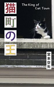 Baixar NEKOMACHINOOU (Japanese Edition) pdf, epub, eBook