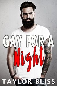 Baixar Gay For A Night (English Edition) pdf, epub, eBook
