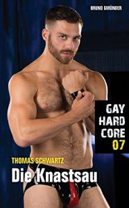 Baixar Gay Hardcore 07: Die Knastsau (German Edition) pdf, epub, eBook