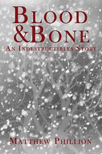 Baixar Blood and Bone: An Indestructibles Story (the Indestructibles) (English Edition) pdf, epub, eBook