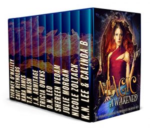 Baixar Magic Awakened: A Paranormal Romance Boxed Set (English Edition) pdf, epub, eBook