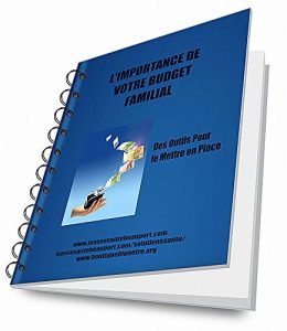 Baixar L’importance de votre Budget Familial: Des outils pour le mettre en place (French Edition) pdf, epub, eBook
