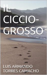 Baixar IL-CICCIO-GROSSO (Italian Edition) pdf, epub, eBook