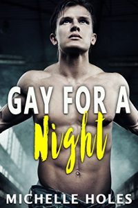 Baixar Gay for a Night (English Edition) pdf, epub, eBook