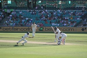 Baixar Cricket Schedule 2017-2018 (English Edition) pdf, epub, eBook