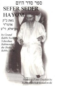 Baixar Seder HaYom (English Edition) pdf, epub, eBook