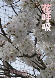 Baixar HANAKOKYUU (TOUYOUJIN) (Japanese Edition) pdf, epub, eBook