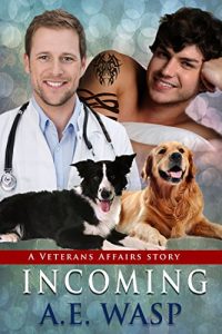Baixar Incoming: A Veterans Affairs Novel (English Edition) pdf, epub, eBook