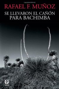 Baixar Se llevaron el canon para Bachimba pdf, epub, eBook
