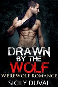 Baixar Drawn By the Wolf: Holiday Alpha Male Shifter Romantic Comedy (New Adult Contemporary BBW Romance, Paranormal Shape Shifter Romance) (English Edition) pdf, epub, eBook