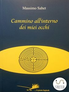 Baixar Cammino all’interno dei miei occhi pdf, epub, eBook