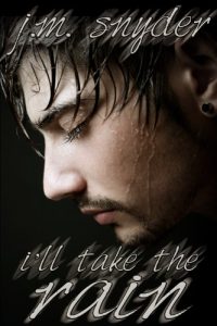 Baixar I’ll Take the Rain (English Edition) pdf, epub, eBook