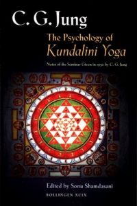 Baixar The Psychology of Kundalini Yoga: Notes of the Seminar Given in 1932 (Jung Extracts) pdf, epub, eBook