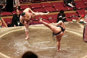 Baixar 2017 Sumo Schedule (Japan) (English Edition) pdf, epub, eBook