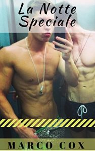 Baixar La Notte Speciale (Italian Edition) pdf, epub, eBook