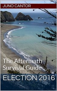 Baixar Election 2016: The Aftermath Survival Guide (English Edition) pdf, epub, eBook