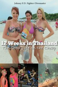 Baixar 12 Weeks in Thailand: The Guide Book to Travel Cheap, Learn Muay Thai all while Living the 4-Hour Workweek (English Edition) pdf, epub, eBook
