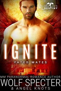 Baixar Ignite: M/M Gay Shifter Mpreg Romance (Dragon’s Destiny: Fated Mates Book 3) (English Edition) pdf, epub, eBook